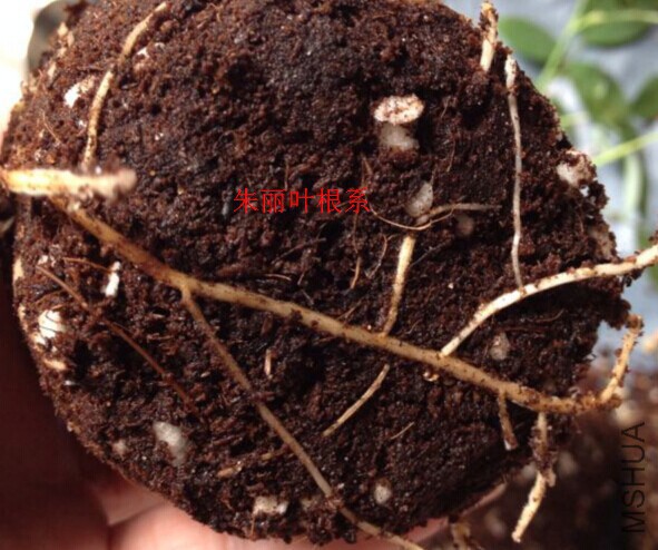 7-6һ���ϵ2.jpg