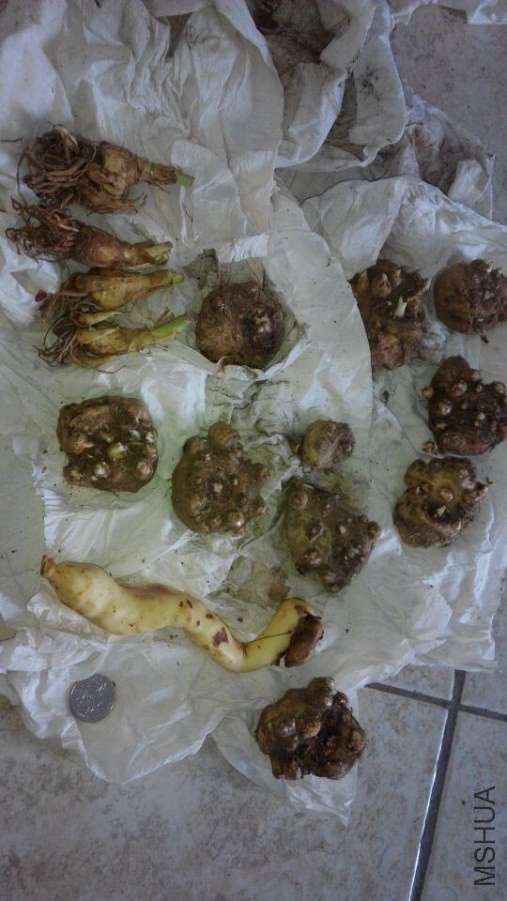 QQͼƬ20140706130526.jpg