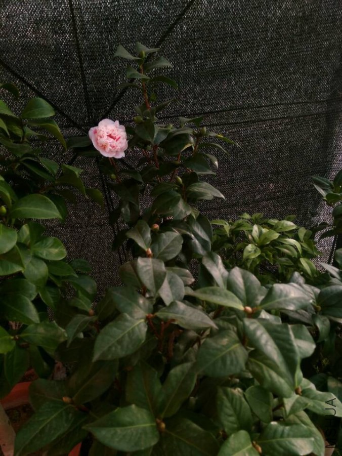 QQͼƬ20140707113630.jpg