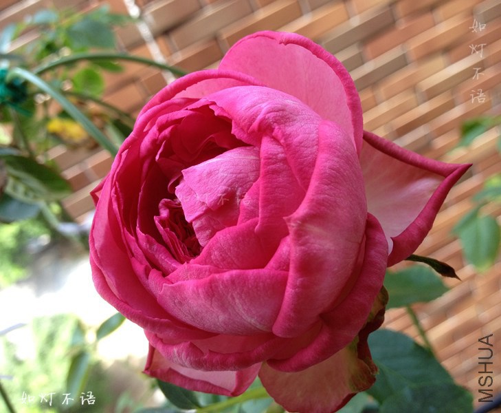 B001.jpg
