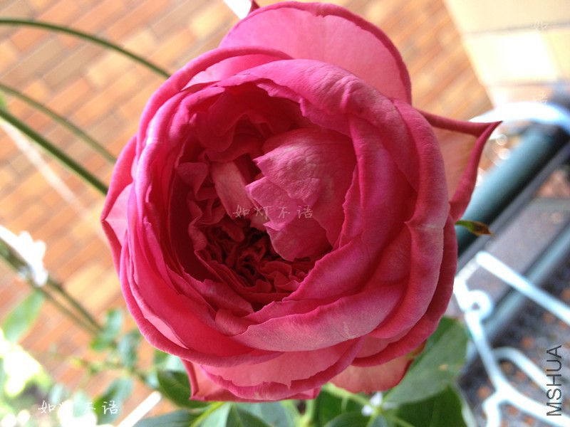B002.jpg