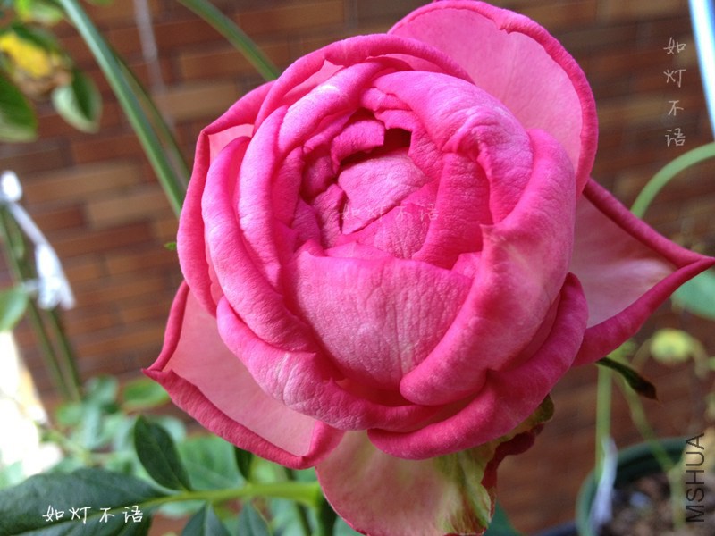 B5.jpg
