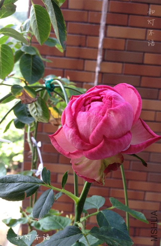 B6.jpg