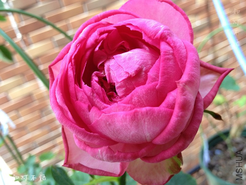 B8.jpg