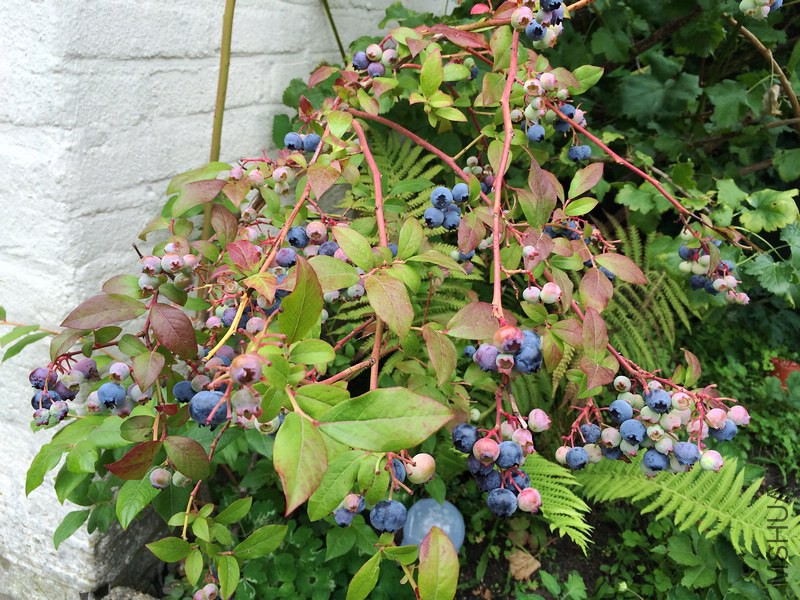 2014-07-06 16.52.43.jpg