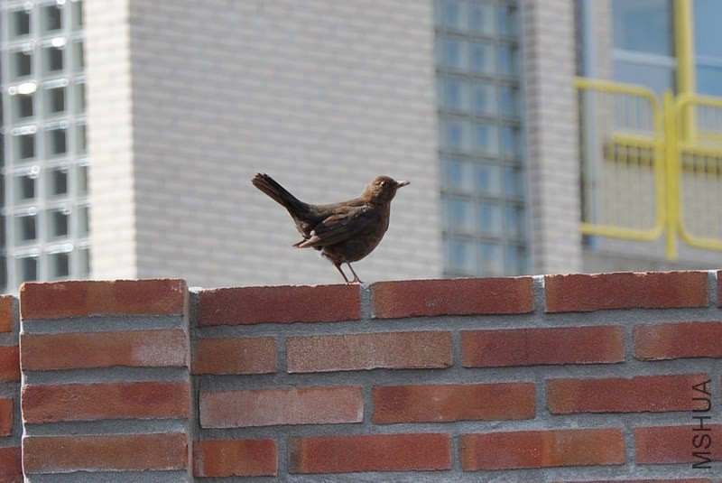 DSC_0131.jpg