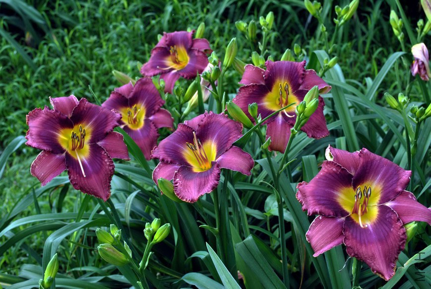 F1-200��Ը(XinYuan) (2)��.jpg