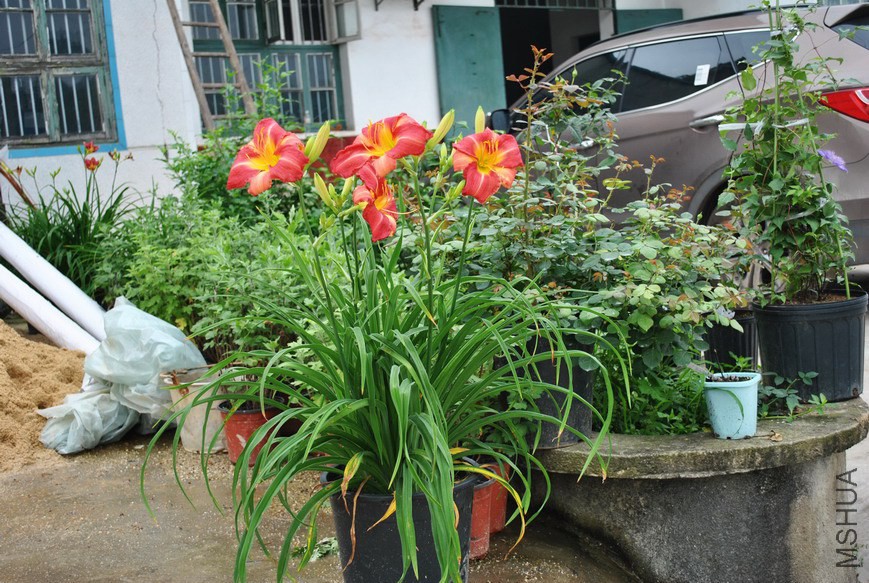 F1-110�ͷ� (1).jpg