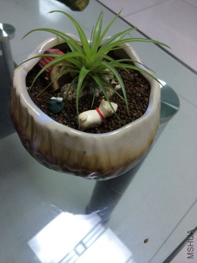 QQͼƬ20140707205553.jpg