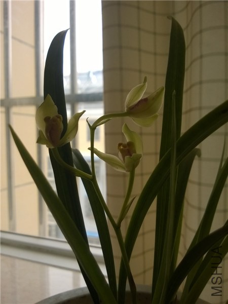 MediaLib_Camera Roll_WP_20140708_003.jpg