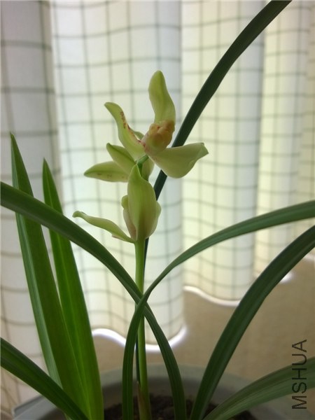 MediaLib_Camera Roll_WP_20140708_001.jpg