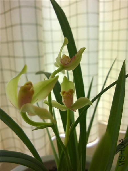 MediaLib_Camera Roll_WP_20140708_002.jpg