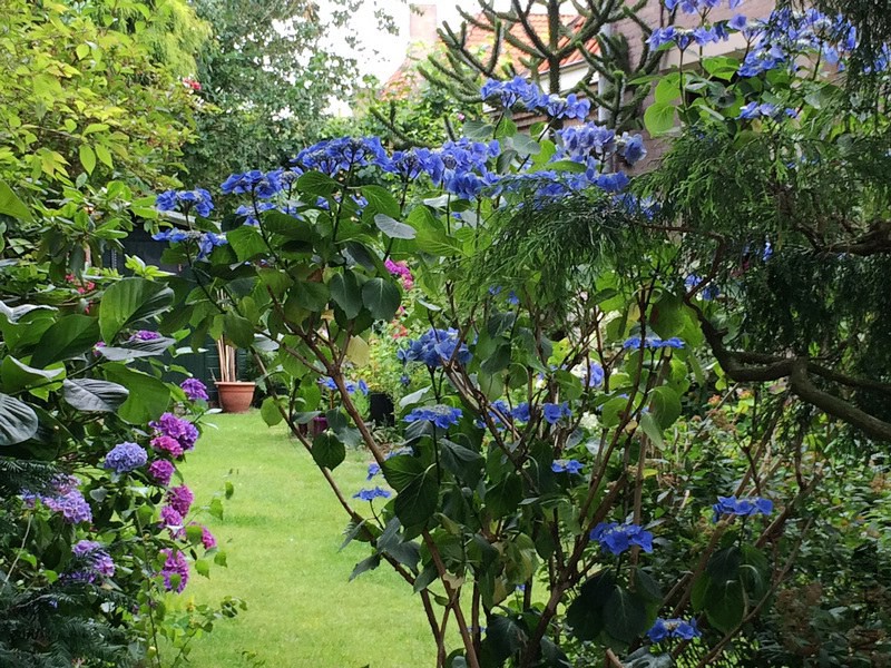 2014-07-06 15.24.15.jpg