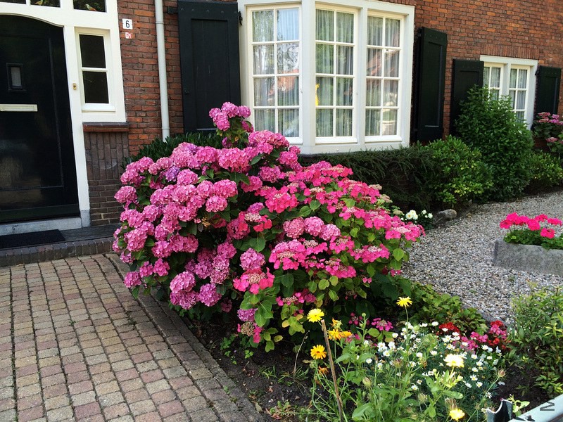 2014-07-07 15.54.58.jpg