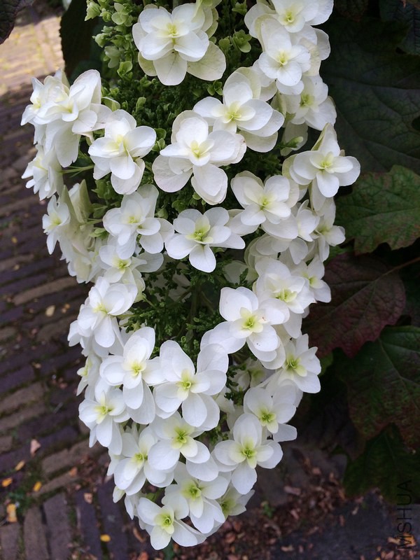 2014-07-07 17.27.44.jpg