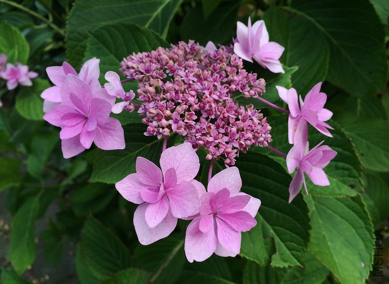 2014-07-07 17.27.53.jpg