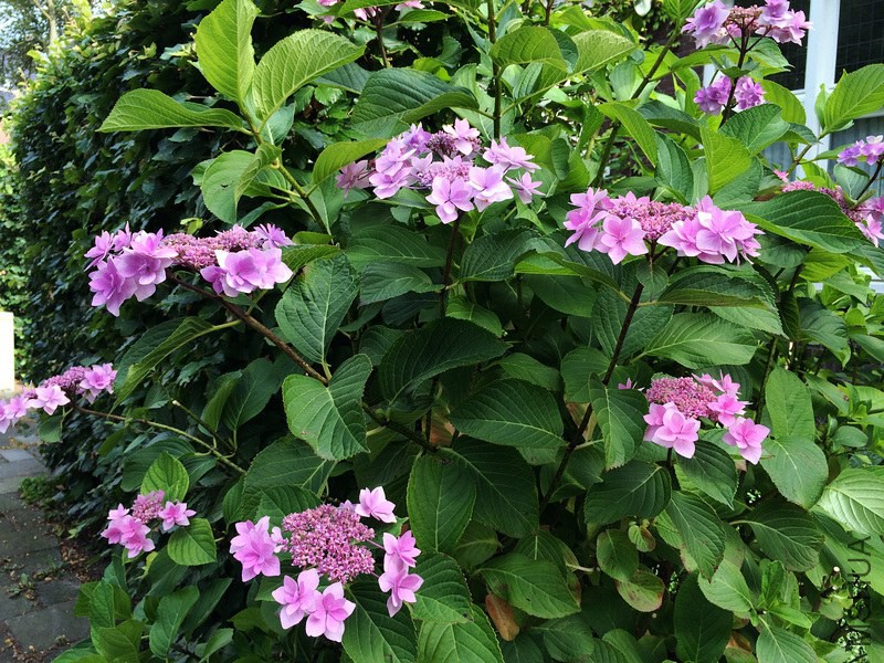 2014-07-07 17.28.01.jpg