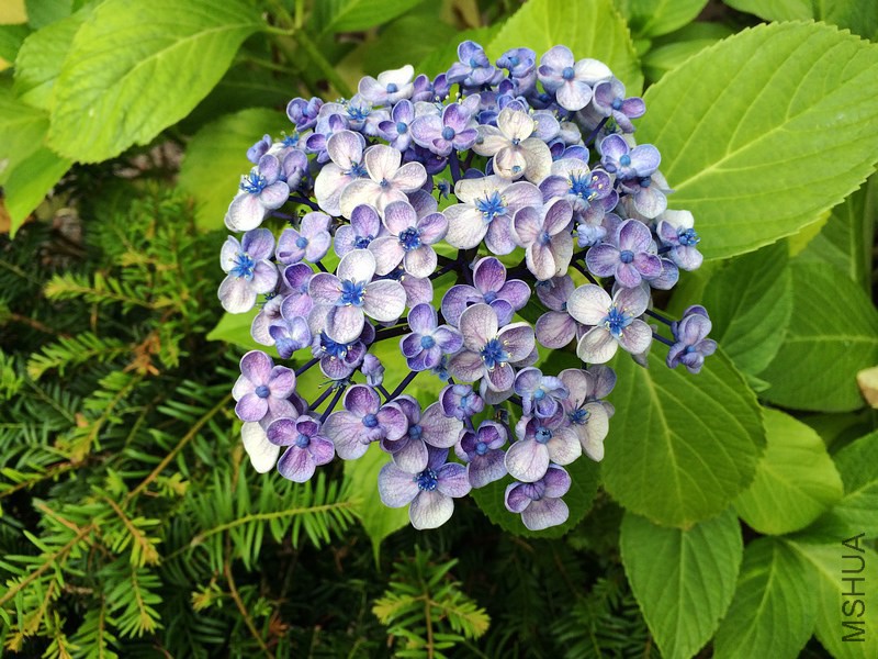 2014-07-07 17.30.01.jpg