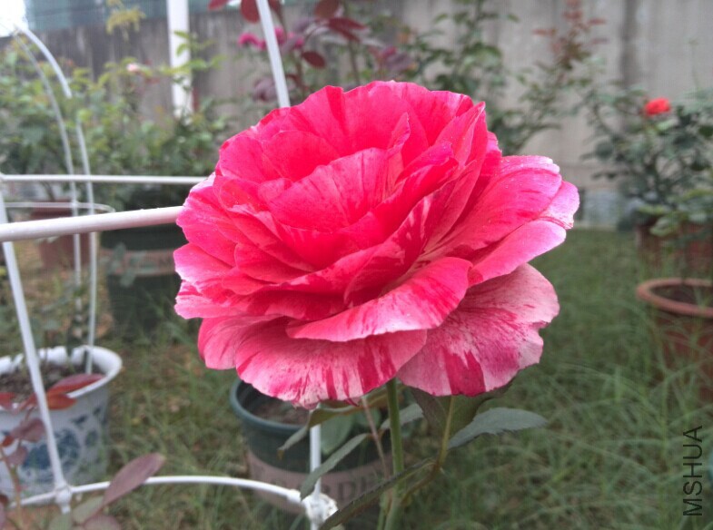 QQͼƬ20140709084722.jpg