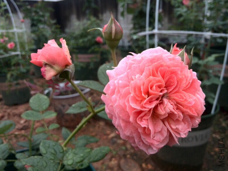QQͼƬ20140709084748.jpg