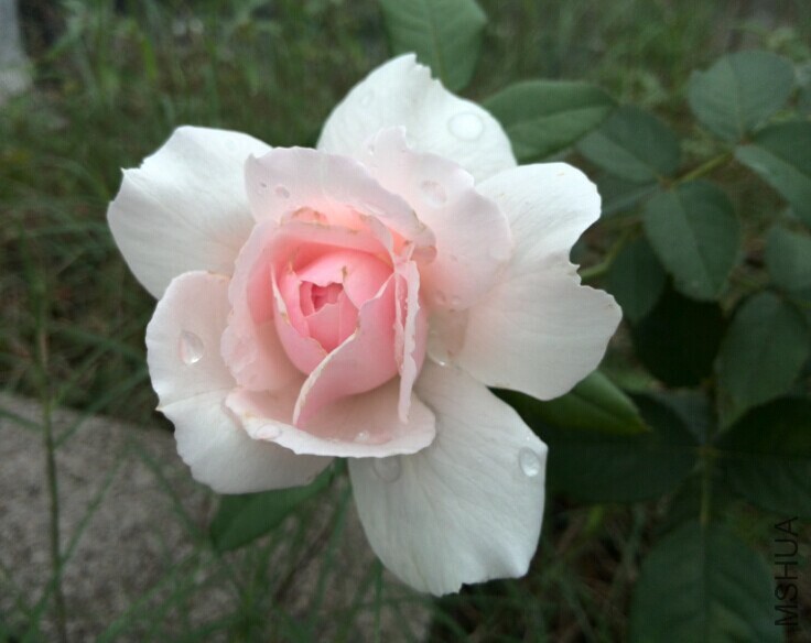 QQͼƬ20140709085034.jpg