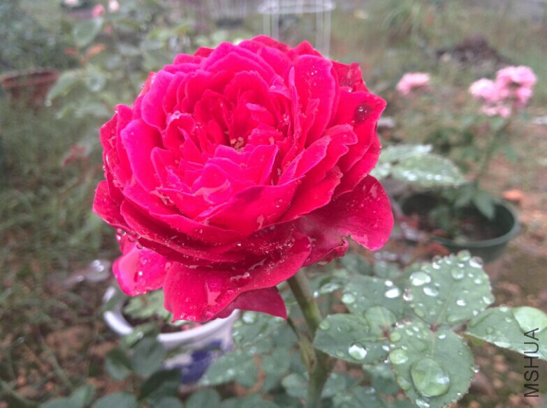QQͼƬ20140709085111.jpg