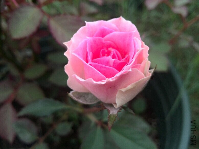 QQͼƬ20140709085325.jpg
