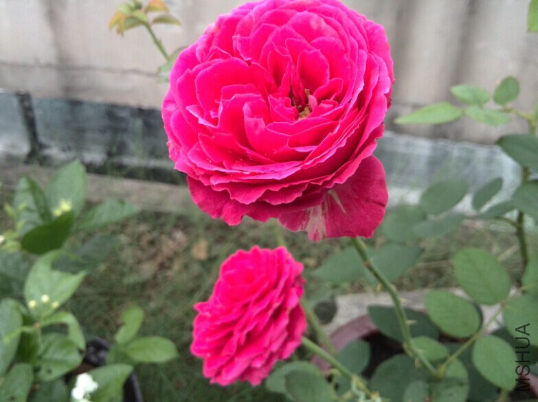 QQͼƬ20140709085430.jpg