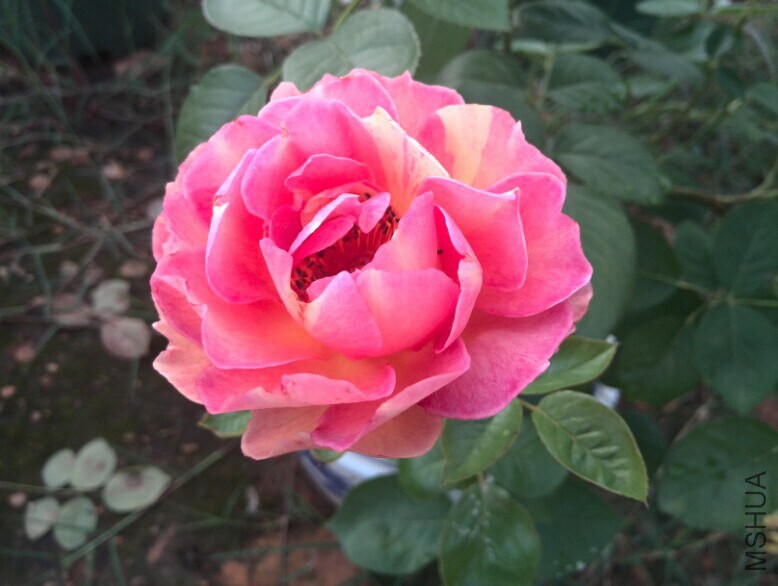 QQͼƬ20140709085645.jpg