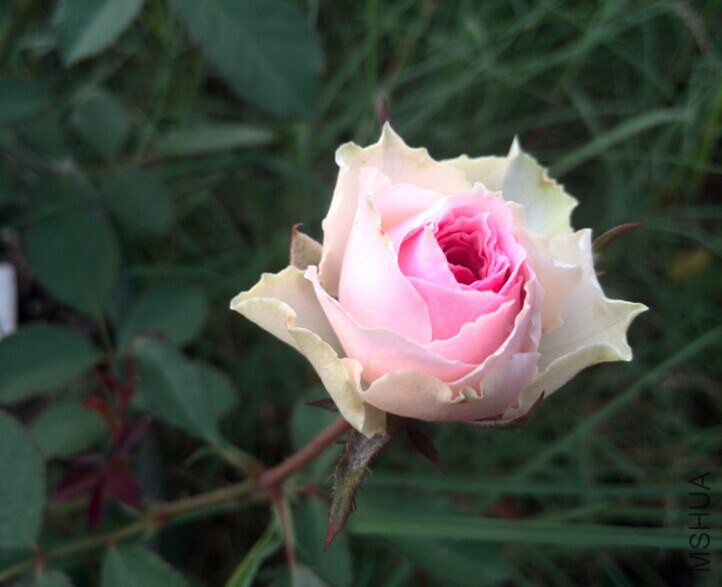 QQͼƬ20140709085700.jpg