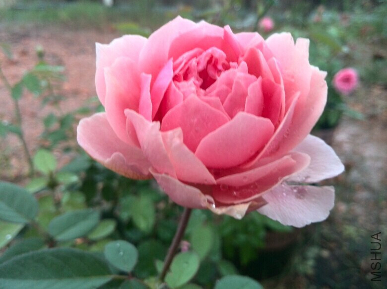 QQͼƬ20140709085910.jpg