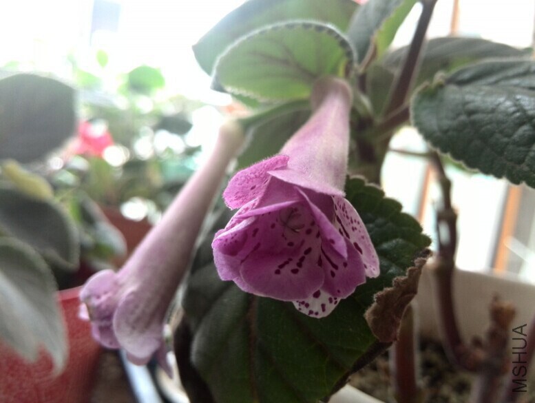 QQͼƬ20140709085153.jpg