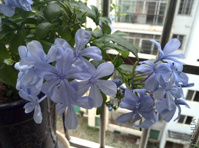 QQͼƬ20140709084807.jpg
