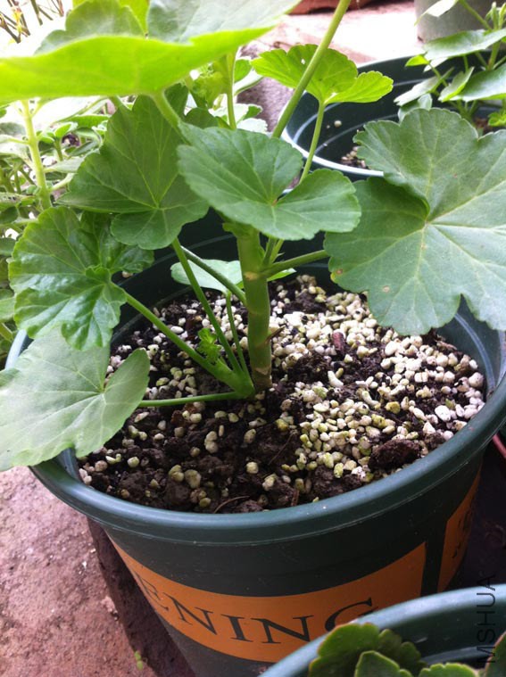 7��9��~����º��С��~~