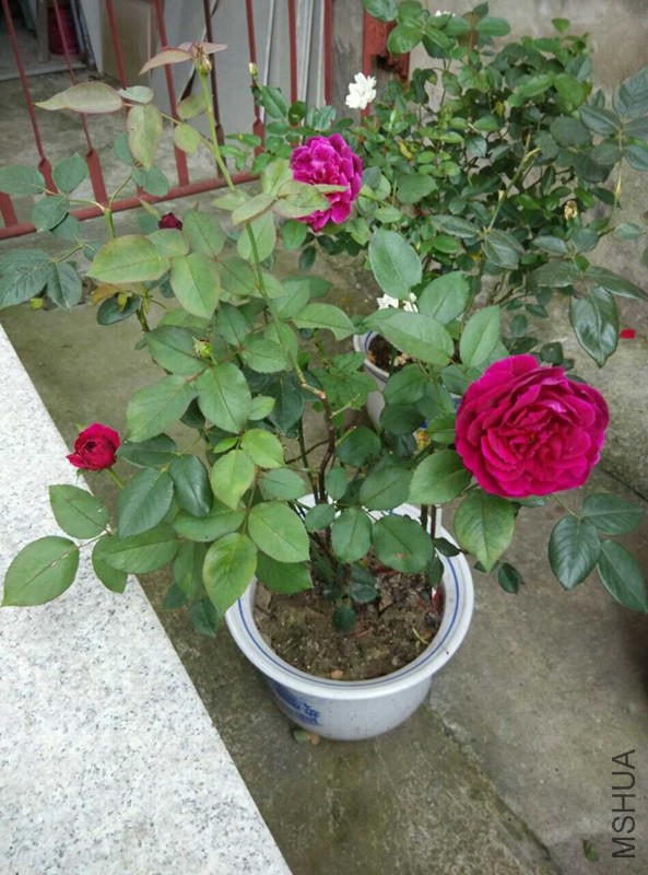 QQͼƬ20140709104426_����.jpg