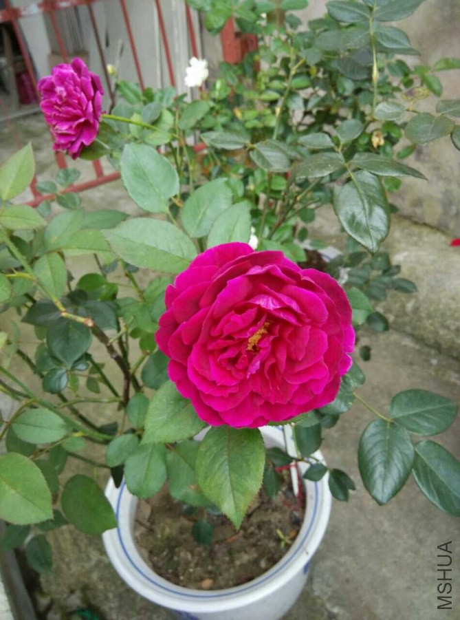 QQͼƬ20140709104434.jpg