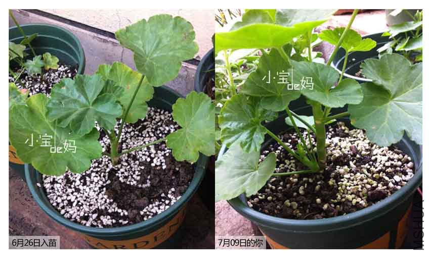 �Ա�����һ��~~