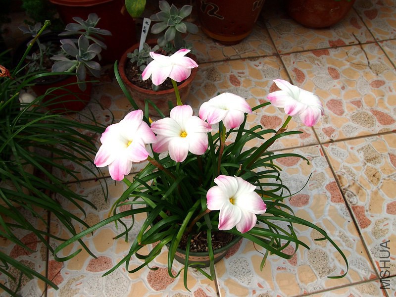 P7081073.JPG