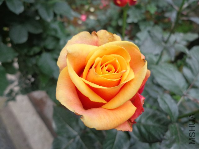 DSC02149.JPG