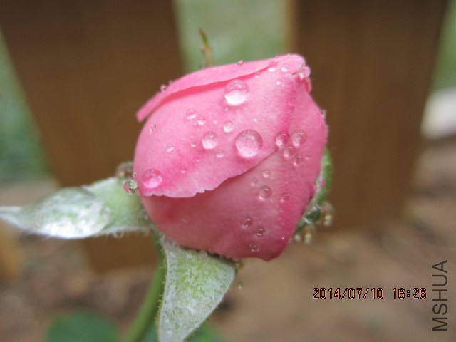 IMG_3580.JPG