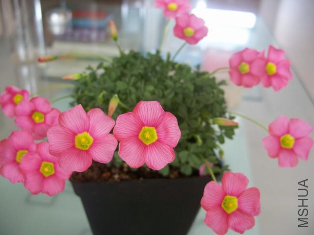 100_4497.JPG