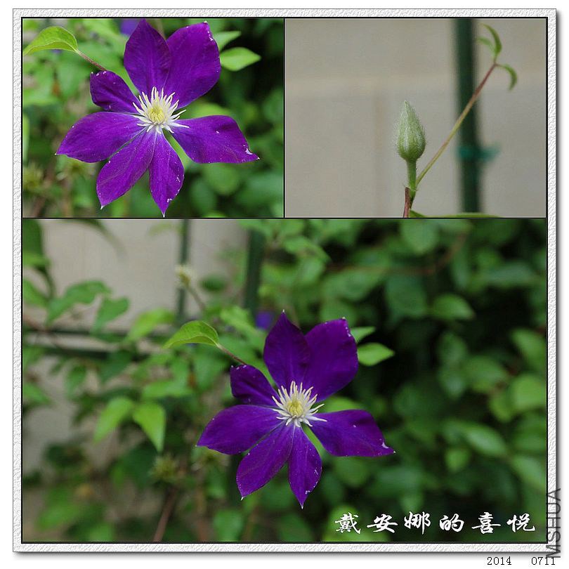2014071103.jpg