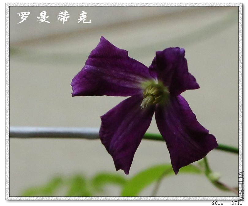 2014071102.jpg