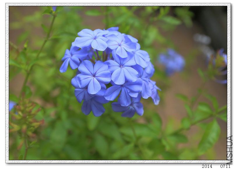 2014071112.jpg