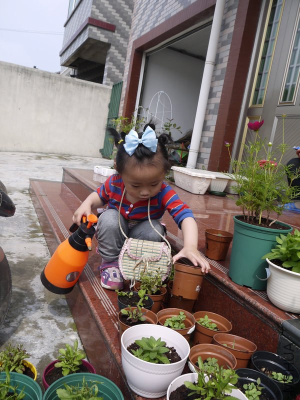 _1040906.JPG