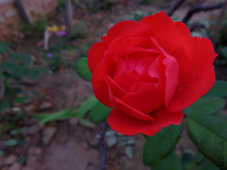 IMG_3154.JPG
