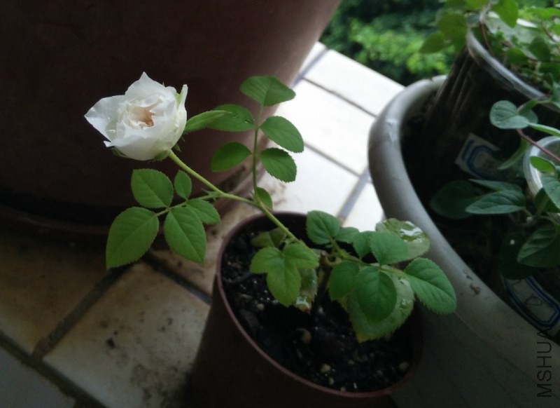 �¼�-��ϣ-20140711170305.jpg