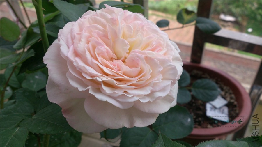 DSC_0104.jpg