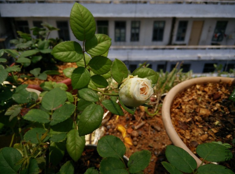 �¼�-��ϣ-20140518121737.jpg