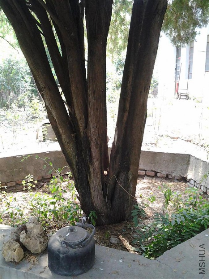 20140711_142206.jpg
